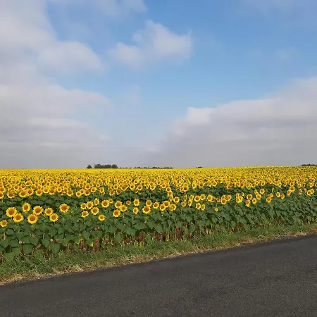 Les Volets Verts Aulnay Bed and breakfast Aulnay (Charente-Maritime)